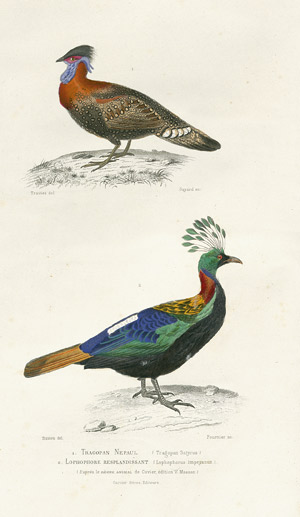 Lot 781, Auction  101, Lacépède de la Ville, B. G. E. de, Oeuvres