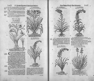 Lot 791, Auction  101, Tabernaemontanus, Jacobus, Neu vollkommen Kräuter-Buch. Basel 1687