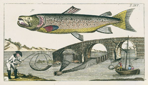 Lot 793, Auction  101, Wilhelm, Gottlieb Tobias, Unterhaltungen ... Fische