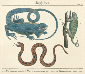 Lot 799, Auction  101, Wilmsen, Friedrich Philipp, Kupfer-Sammlung