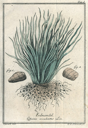 Lot 845, Auction  101, Christ, J. L., Der neueste und beste Deutsche Stellvertreter des Indischen Kaffeh