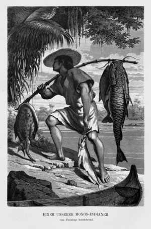 Lot 59, Auction  102, Keller-Leuzinger, F., Vom Amazonas und Madeira. Skizzen und Beschreib...