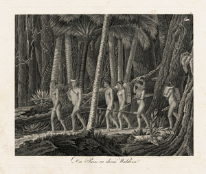 Lot 62, Auction  102, Maximilian Prinz zu Wied-Neuwied, Reise nach Brasilien in den Jahren 1815 bis 1817.