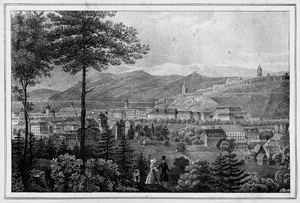 Lot 144, Auction  102, Schweickhardt, Franz Xaver, Das Herzogthum Steiermark