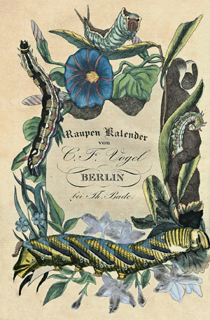 Lot 541, Auction  102, Vogel, Christian Friedrich, Chronologischer Raupenkalender