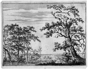 Lot 5317, Auction  102, Verboom, Adriaen Hendricksz., Landschaft mit einem Bachlauf