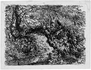 Lot 5496, Auction  102, Dillis, Johann Georg von, Die alte Weide am Bach