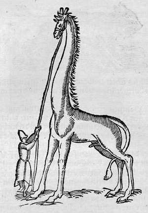 Lot 1093, Auction  103, Plinius Secundus, Caius, Bücher und Schrifften von Natur