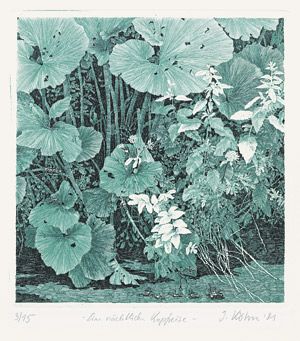 Lot 3301, Auction  105, Köhn, Jochen, Eine nächtliche Kopfreise