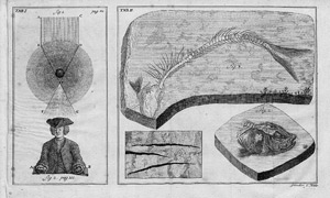 Lot 336, Auction  107, Krüger, Johann Gottlob, Geschichte der Erde in den allerältesten Zeiten