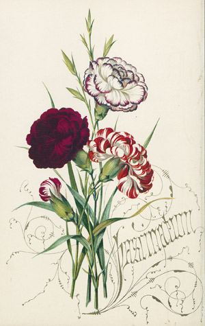 Lot 351, Auction  107, Bacon, Mary Ann, Flowers and Their Kindred Thoughts