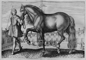 Lot 405, Auction  107, Pluvinel, Antoine de, L' instruction du Roy en l'exercise de monter à cheval