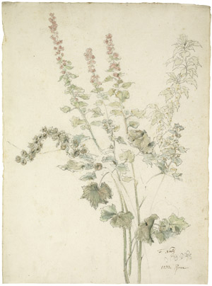 Lot 6669, Auction  107, Nerly, Friedrich, Malven