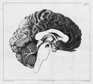 Lot 373, Auction  108, Soemmering, Samuel Thomas, Über das Organ der Seele