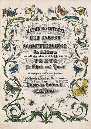 Lot 484, Auction  108, Driendl, Thomas, Naturgeschichte der Kaefer und Schmetterlinge. 
