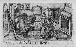 Lot 492, Auction  108, Frisch, Johann Leonhard, Beschreibung von allerley Insecten in Teutsch-Land