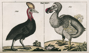 Lot 594, Auction  108, Wilhelm, Gottlieb Tobias, Unterhaltungen aus der Naturgeschichte