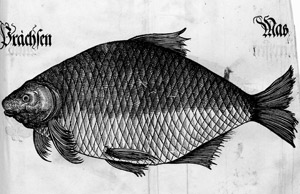 Lot 1546, Auction  108, Albrecht V., Herzog von Bayern, Bairische Landtsordnung 1553. Erste Ausgabe der "Bayrischen Landesordnung" aus 