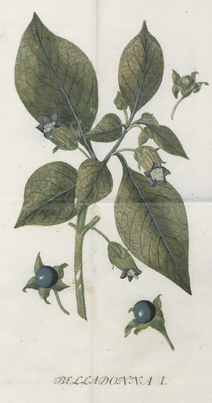 Lot 322, Auction  110, Münch, Burchard Friedrich, Practische Abhandlung von der Belladonna und ihrer Anwendung 