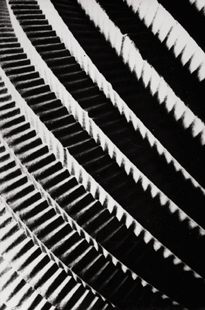 Lot 4349, Auction  111, Thiemann, Elsa, Paper lantern