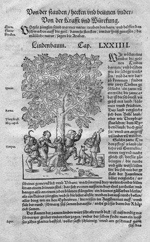 Los 240 - Hortus Sanitatis - 6 Werke in 5 Bänden, teils als größere, umfangreiche Fragmente - 4 - thumb