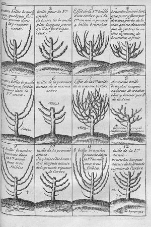 Lot 259, Auction  112, La Quintinie, Jean de, Instruction pour les jardins fruitiers et potagers