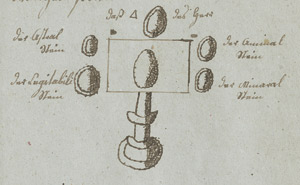 Lot 360, Auction  112, Magia Divina, oder Grund und deutlicher unterricht, von denen für nehmsten Cabalischen Kunststücken