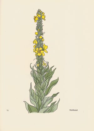 Lot 3289, Auction  112, Koch, Rudolf, Das Blumenbuch