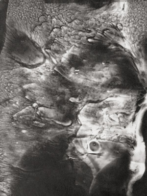 Lot 4226, Auction  112, Landauer, Lou, Surrealistic abstraction (Running emulsion)