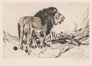 Lot 5415, Auction  112, Kuhnert, Wilhelm, Löwe am Riss (mit erlegtem Zebra)