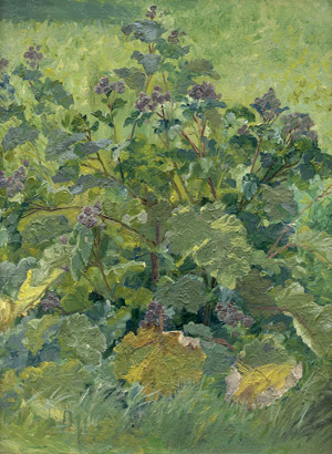 Lot 6192, Auction  112, Simonsen, Simon Ludvig Ditlev, Sauerampfer