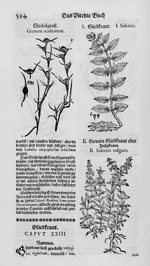 Lot 284, Auction  113, Matthioli, Petrus Andreas, Neu vollkommenes Kräuter-Buch