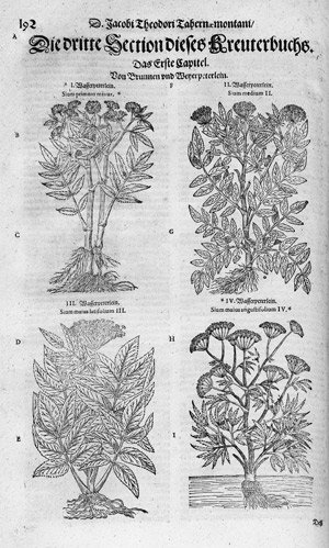 Lot 294, Auction  113, Tabernaemontanus, Jacobus Theodorus, Neuw vollkommentlich Kreuterbuch
