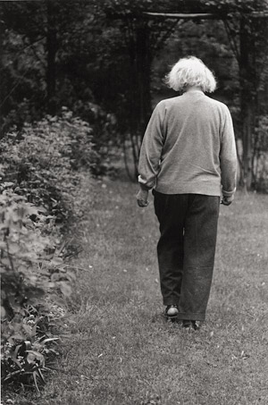 Lot 4154, Auction  113, Haas, Ernst, Albert Einstein at home in his garden, Princeton