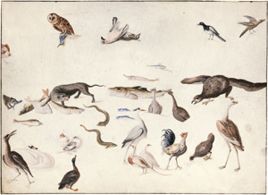 Lot 6343, Auction  113, Kessel, Jan van - Umkreis, Studienblatt mit Vögeln und Fischen