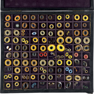 Lot 6359, Auction  113, "Funkelaugen", Kasten mit künstliche Glasaugen von Säugetieren, Vögeln und Fischen