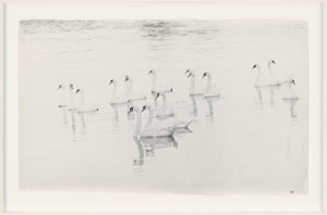 Lot 4265, Auction  114, Lempert, Jochen, Swans