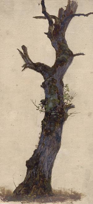 Lot 6055, Auction  114, Piepenhagen, August Friedrich, Knorriger Baumstumpf