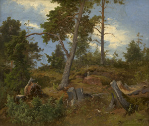 Lot 6107, Auction  114, Achenbach, Andreas, Lichter Waldhügel bei Trollhättan
