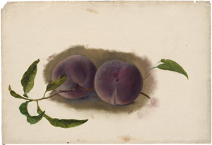 Lot 6349, Auction  114, Blaschek, Franz, Kleiner Zweig mit zwei Pfrsichen