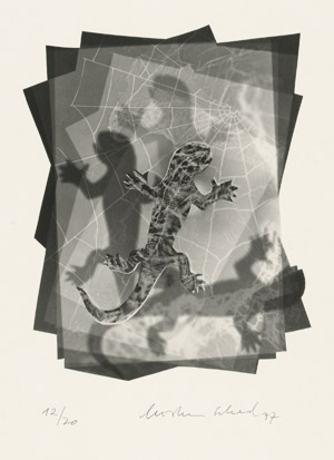 Lot 4323, Auction  115, Schad, Christian, Zehn Studien zu Aloysius Bertrand