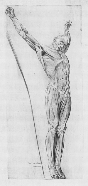 Lot 5268, Auction  115, Gamelin, Jacques, Ecorché cruxifié (Gehäuteter Mann, gereuzigt). 