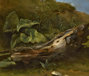 Lot 6129, Auction  115, Deutsch, um 1840. Knorriger Baumstumpf mit Blattpflanzen 