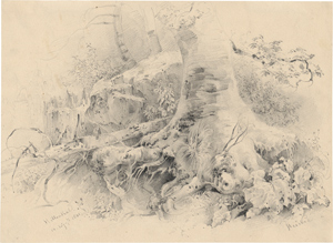 Lot 6353, Auction  116, Heicke, Joseph, Moosbewachsene Baumwurzeln im Höllental am Schneeberg nahe Wiener Neustadt