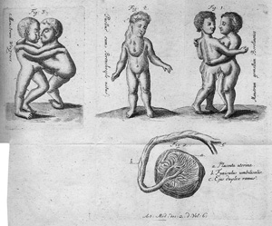 Lot 201, Auction  117, Acta medicorum Berolinensium, in incrimentum artis & scientiarum collecta