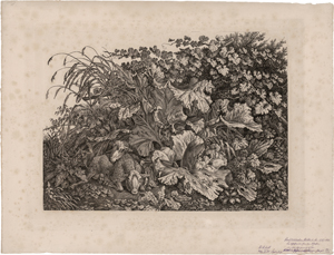 Lot 5271, Auction  117, Kolbe, Carl Wilhelm, Kräuterstück mit zwei Schafen