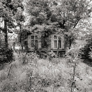 Lot 4228, Auction  118, König, Rainer, Hannah Höch's garden house, Heiligensee