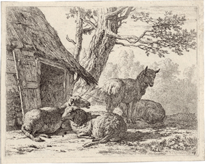 Lot 5455, Auction  118, Dujardin, Karel, Vier Schafe