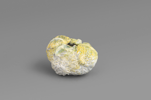 Lot 6403, Auction  119, Gaube, Gudrun, Kleiner Wirsing: Naturabformung eines Kohlkopfes