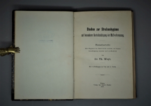 Lot 491, Auction  120, Weyl, Theodor, Studien zur Strassenhygiene mit besonderer Berücksichtigung der Müllverbrennung